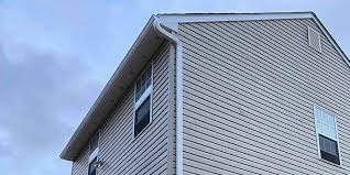 Best Historical Building Siding Restoration  in Kula, HI